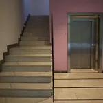 Daglingegneri